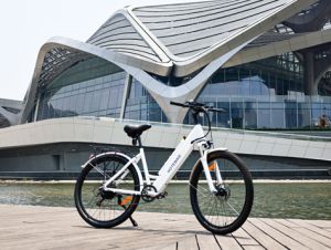 How to Choose the Perfect E-Bike Without Overspending