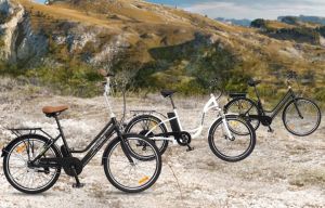 What Is a Pedal Assist Electric Bike?